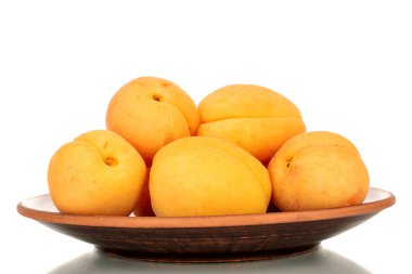 Kil plaka üzerinde birkaç organik sarı kayısı, makro, beyaz arka planda izole edilmiş..