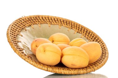 Seramik tabakta birkaç organik sarı kayısı, makro, beyaz arka planda izole edilmiş..