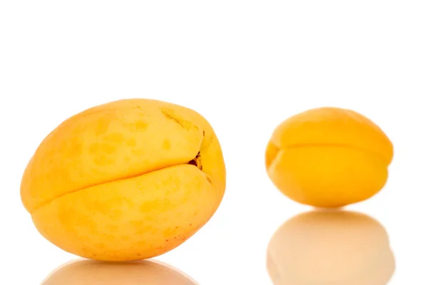 Zwei Reife Süße Aprikosen Makro Isoliert Auf Weißem Hintergrund — Stockfoto