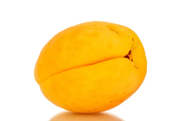 One Ripe Sweet Apricot Macro Isolated White Background — Stock Photo, Image