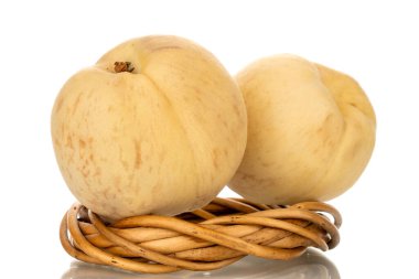 İki organik olgun şeftali, sarmaşık çelengi, makro, beyaz arka planda izole edilmiş..