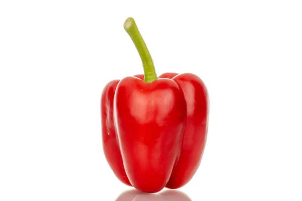One Red Bell Pepper Macro Isolated White Background — Stock Photo, Image