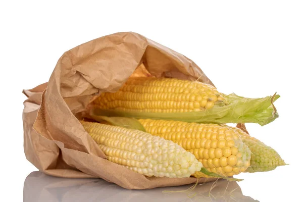 Кілька Свіжих Вух Кукурудзи Паперовій Сумці Макро Ізольовані Білому Тлі — стокове фото