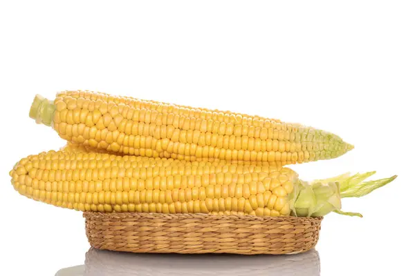Kilka Świeżych Kłosów Kukurydzy Słomką Makro Izolowane Czarnym Tle — Zdjęcie stockowe