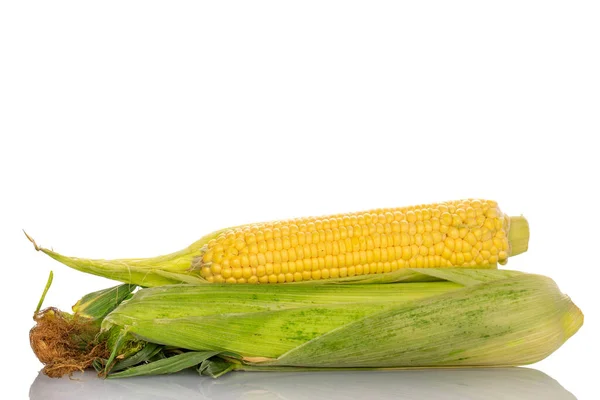 Три Вуха Солодкої Кукурудзи Крупним Планом Білому Тлі — стокове фото