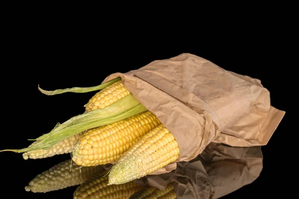 Three Fresh Sweet Corn Cobs Sack Jute Close Black Background — Stock Photo, Image