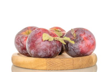 Tahta bir tabakta birkaç tatlı kırmızı elma, makro, beyaz arka planda izole edilmiş..