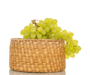 Saman sepetinde tatlı çekirdeksiz üzüm, makro, beyaz arka planda izole edilmiş..