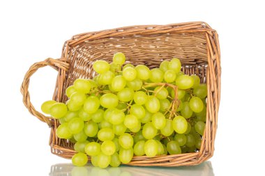 Sepette tatlı çekirdeksiz üzüm, makro, beyaz arka planda izole edilmiş..