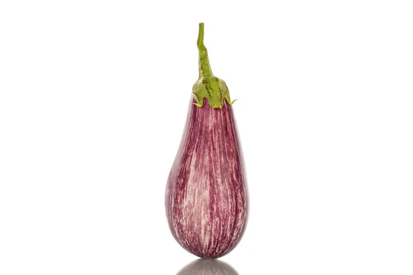 Bir Organik Patlıcan Makro Beyaz Arka Planda Izole Edilmiş — Stok fotoğraf