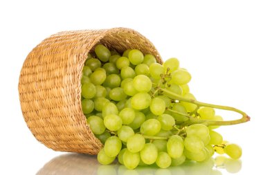 Bir sepet dolusu tatlı üzüm, makro, beyaz arka planda izole edilmiş..