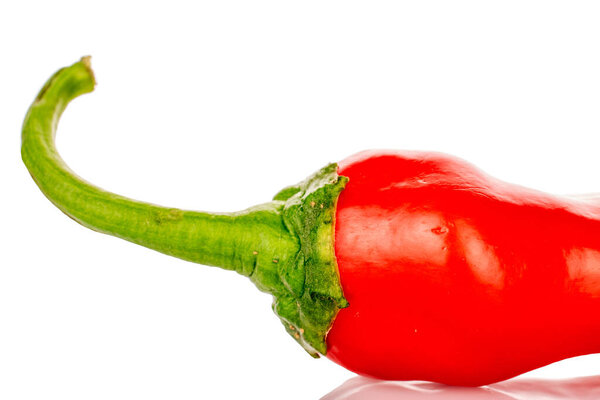 One sweet red pepper, macro, isolated on white background.
