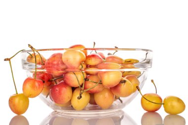 Cam bir tabakta olgun, sarı kiraz meyveleri, makro, beyaz arka planda izole edilmiş..