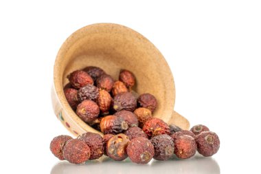 Seramik bir fincanda, beyaz arka planda izole edilmiş birkaç kuru gül ağacı meyvesi..