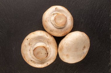 Üç güzel kokulu mantar, kayrak taşı, makro, üst manzara..