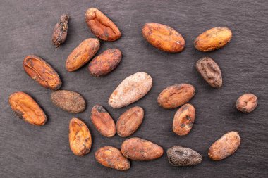 Kayrak taşı üzerinde birkaç kakao çekirdeği, makro, üst manzara..