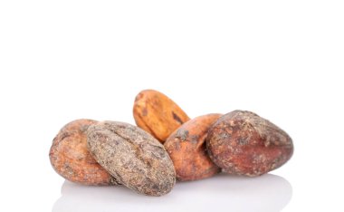 Birkaç kuru kakao çekirdeği, makro, beyaz arka planda izole edilmiş..