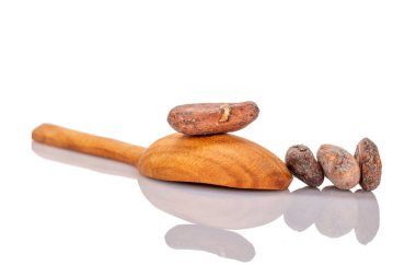 Tahta kaşıklı birkaç kuru kakao çekirdeği, makro, siyah arka planda izole edilmiş..