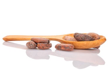 Tahta kaşıklı birkaç kuru kakao çekirdeği, makro, siyah arka planda izole edilmiş..