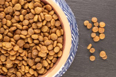 Tabakta köpek maması, kayrak taşı, makro, üst manzara..