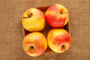 Jüt kumaş, makro, üst manzara üzerinde ahşap tepsiyle birkaç olgun elma..