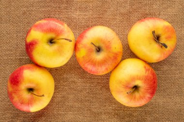 Jüt kumaş üzerinde birkaç olgun elma, makro, üst manzara..