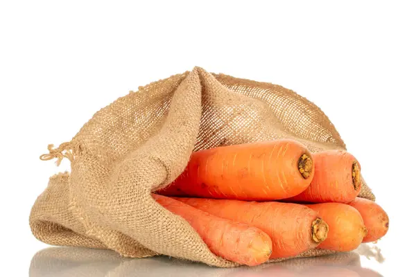 Several Sweet Carrots Jute Bag Macro Isolated White Background — Stock Photo, Image