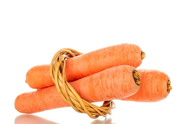 Three Juicy Carrots Woven Ring Vines Macro Isolated White Background — Stock Photo, Image