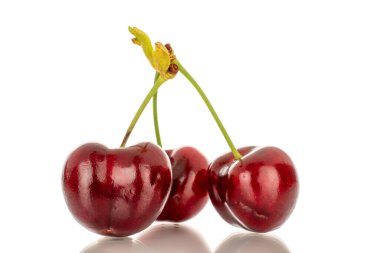 Üç tatlı kiraz, makro, beyaz arka planda izole edilmiş..