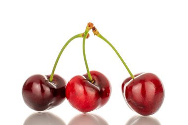Üç tatlı kiraz, makro, beyaz arka planda izole edilmiş..