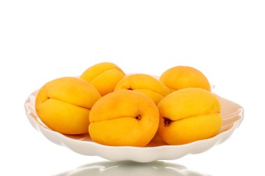 Beyaz seramik plakalı birkaç olgun kayısı, makro, beyaz arka planda izole edilmiş..