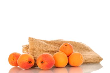 Birkaç olgun kayısı, jüt torbası, makro, beyaz arka planda izole edilmiş..