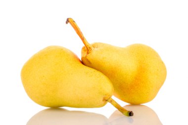 Beyaz arka planda birkaç sulu sarı armut, makro.