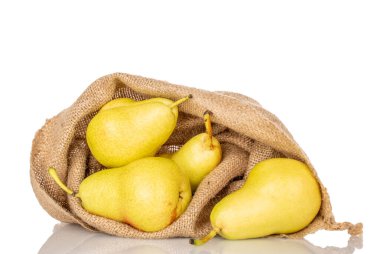 Jüt çantalı birkaç sarı olgun armut, yakın plan, beyaz arkaplanda izole edilmiş..