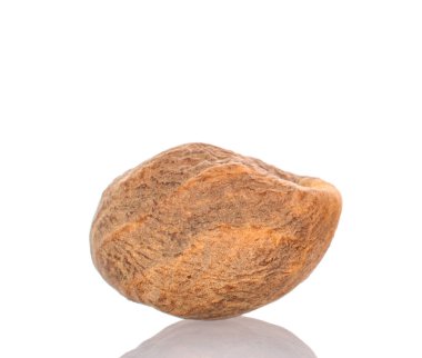 Bir hindistan cevizi, makro, beyaz arka planda izole edilmiş..