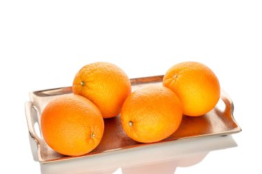 Metal bir tepside dört portakal, yakın plan, beyaz arka plan izole edilmiş..