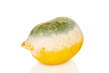 Küflü, yakın plan, beyaz arka planda izole edilmiş bir limon..