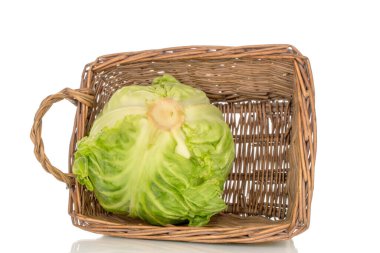 Sepette bir lahana, yakın plan, beyaz arka planda izole edilmiş..