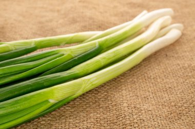 Yeşil taze soğan, jüt kumaş, makro.