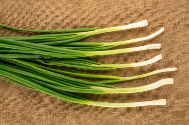 Yeşil taze soğan, jüt kumaş, üst görünüm, makro.