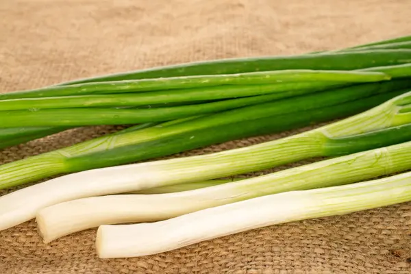 Yeşil taze soğan, jüt kumaş, makro.