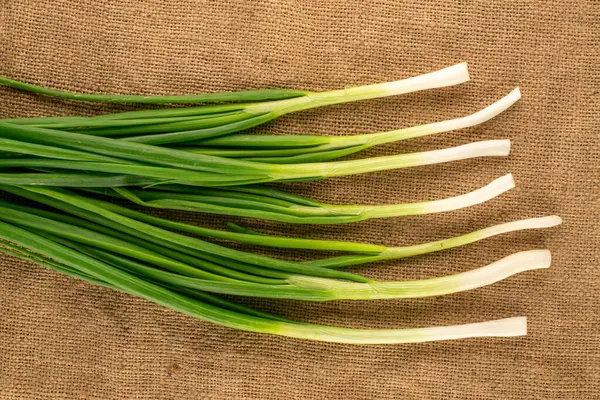Yeşil taze soğan, jüt kumaş, üst görünüm, makro.