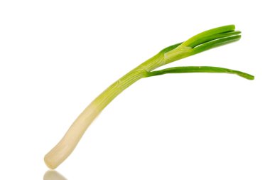 Beyaz arkaplanda yeşil taze soğan, makro.