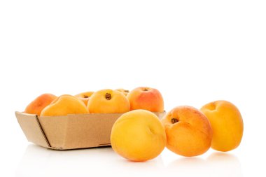 Beyaz arka planda izole edilmiş tatlı organik kayısılar, yakın plan..