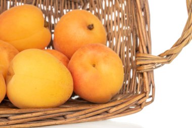 Beyaz arka planda izole edilmiş tatlı organik kayısılar, yakın plan..