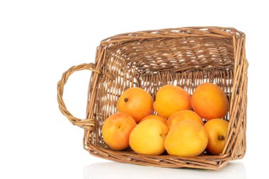 Beyaz arka planda izole edilmiş tatlı organik kayısılar, yakın plan..