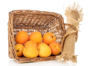 Beyaz arka planda izole edilmiş tatlı organik kayısılar, yakın plan..