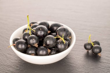 Güzel kuşüzümü, makro, kayrak taşı üzerinde..