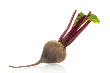 Beyaz arkaplanda kırmızı taze pancar kökü, makro.