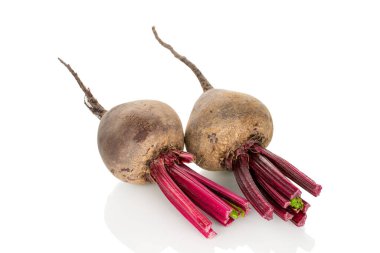 Beyaz arkaplanda kırmızı taze pancar kökü, makro.